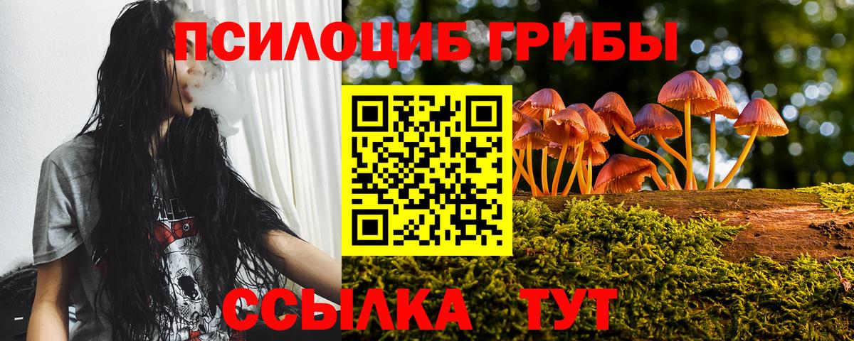 Галлюциногенные грибы ЛСД  Галлюциногенные грибы прущие грибы  Спасск-Дальний  Вход с VPN 